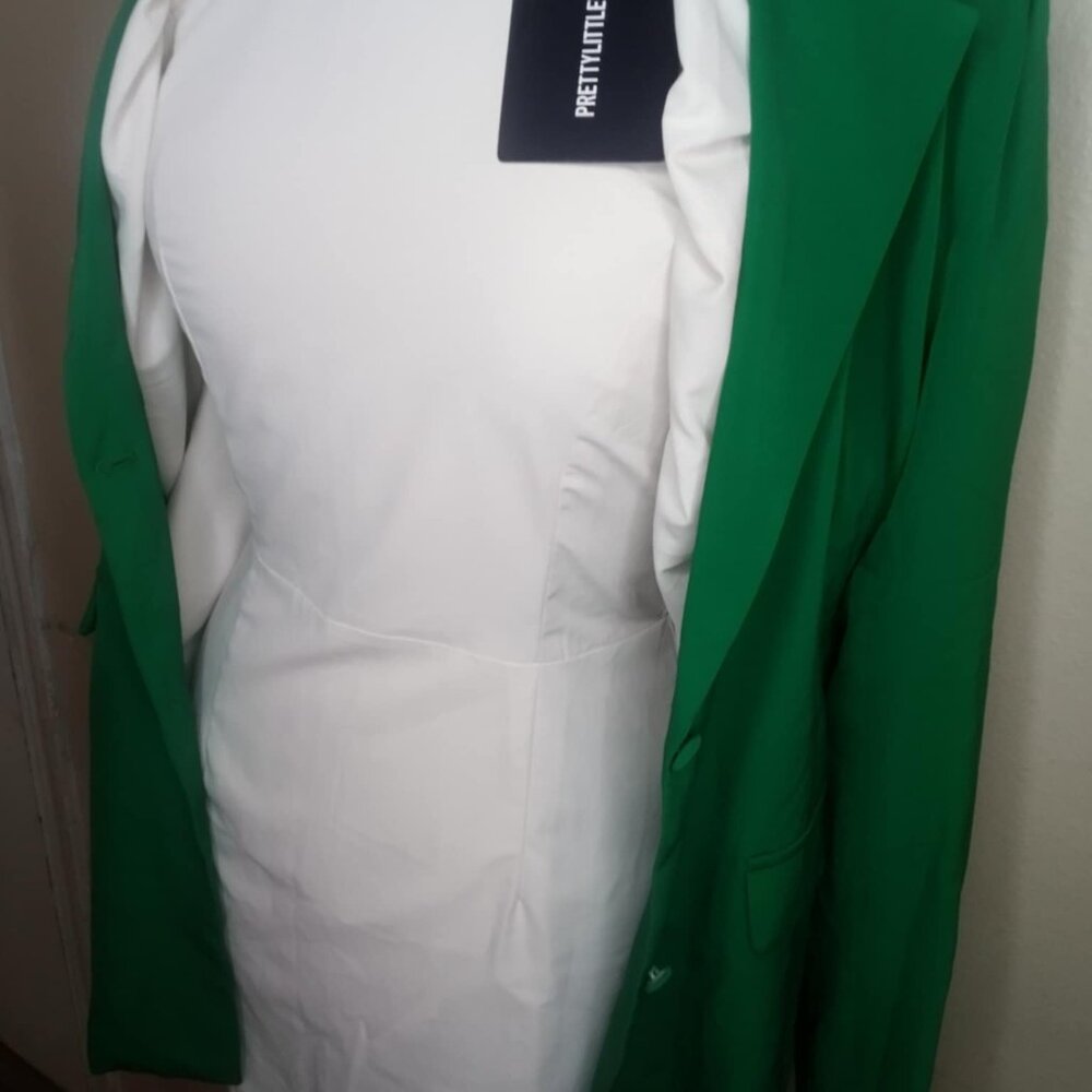 BRAND NEW WITH TAGS SPRING RUFFLE DRESS - Picture 15 of 16